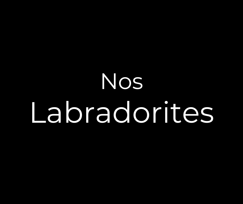 Labradorites